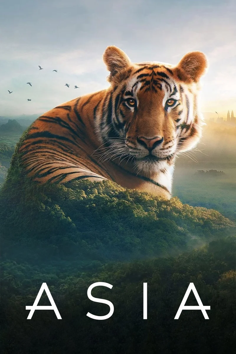 Asia 